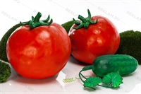 муляжи больших овощей