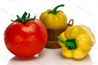 муляжи огромных овощей