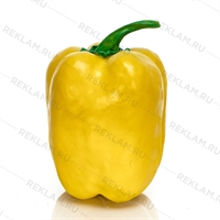 большой муляж перец