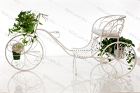 цветочница садовая