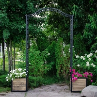 металлическая арка