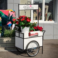 торговое оборудование для магазина цветов