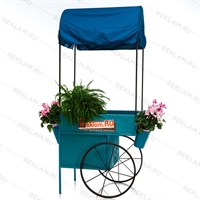 витрина магазина