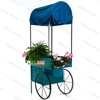 витрина на колесах