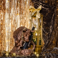 бутылочница бык