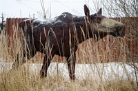 Ростовая фигура лосиха