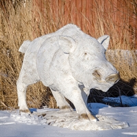 Объемная фигура Кабан