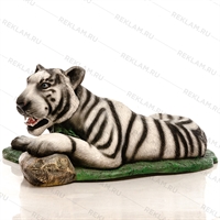 тигр символ 2022