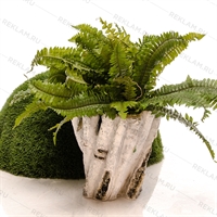 садовое кашпо березовый спил