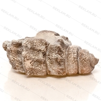 Садовое кашпо Ракушка Садовое кашпо Ракушка