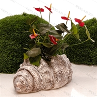 декоративное кашпо Ракушка декоративное кашпо Ракушка