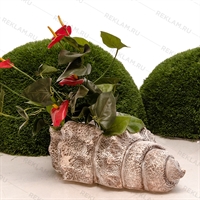 Садовое кашпо Ракушка Садовое кашпо Ракушка