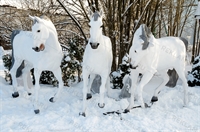 тройка лошадей