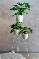 напольная цветочница