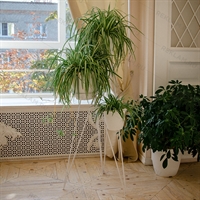 цветочница кованая