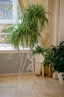 цветочница интерьерная