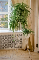 кованая подставка под цветы