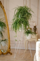 цветочная стойка