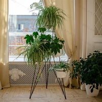 цветочница на 5 горшечных растения цветочница на 5 горшечных растения