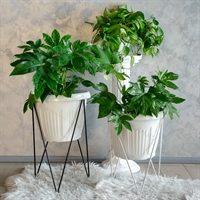 цветочницы в стиле лофт