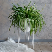 напольная цветочница напольная цветочница