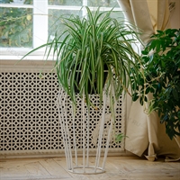 цветочница лофт