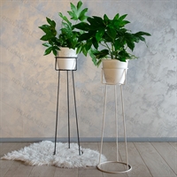 кованые цвтеочницы