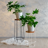 напольные цветочницы лофт