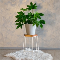 подставка на 1 цветок