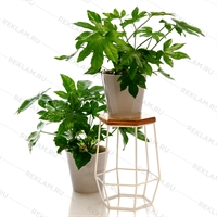 белая подставка под цветы