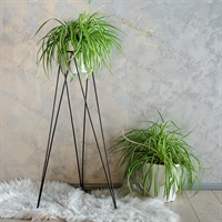 цветочница напольная