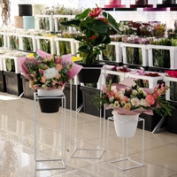 цветочницы