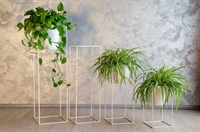 стойки для цветочного магазина