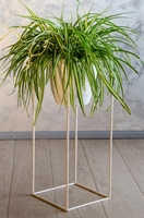 лофт цветочница