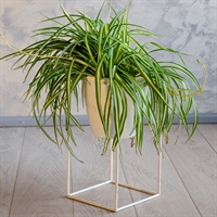 цветочница в стиле лофт