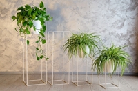 стойки для цветочного магазина