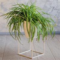 цветочница в стиле лофт