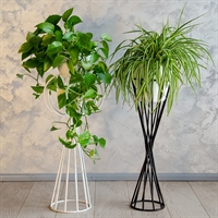 стойка для продажи букетов