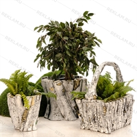 Садовая клумба березовый спил - фото 29018