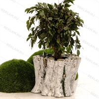 купить садовое кашпо