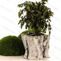 купить клумбу для цветов