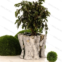 купить клумбу для цветов