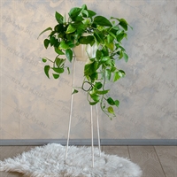 Подставка для цветов 66-404 - фото 29065