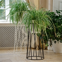 цветочницы лофт