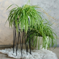 подставка для цветка