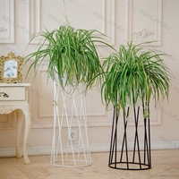 интерьерные цветочницы