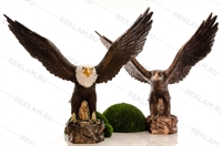 Бронзовый орел