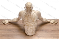 объемная фигура для оформления кафе