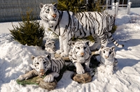 объемные фигуры тигров