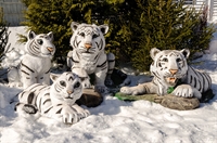 объемные фигуры тигрята